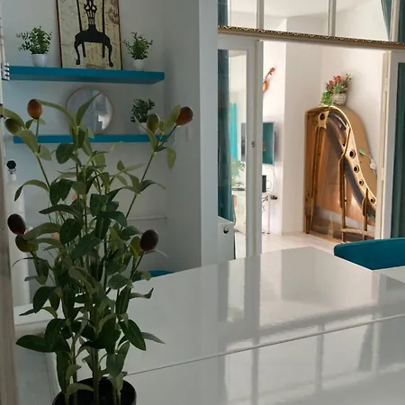 Piano Belvarosi Miskolc
